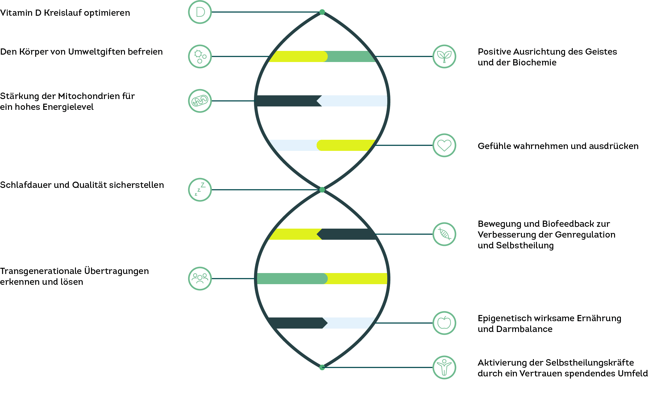 HealVersity