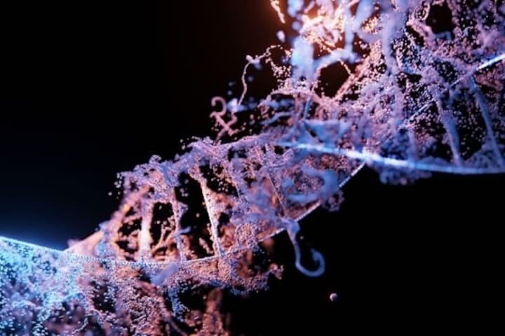 Epigenetik