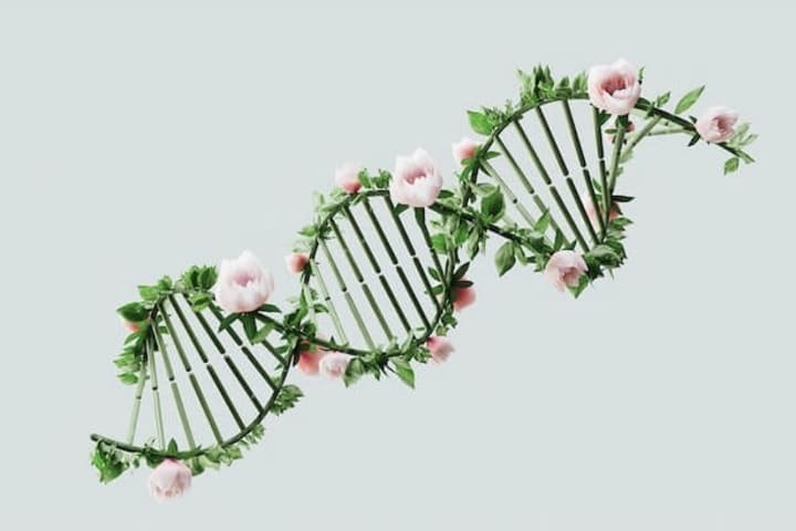 Epigenetische Modifikation